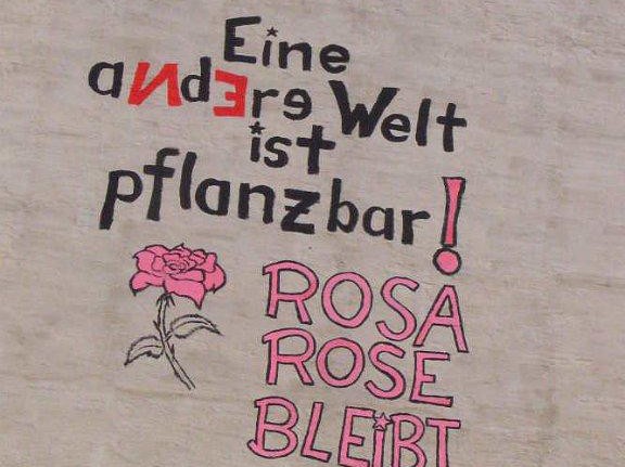 Rosa Rose Wandbilder